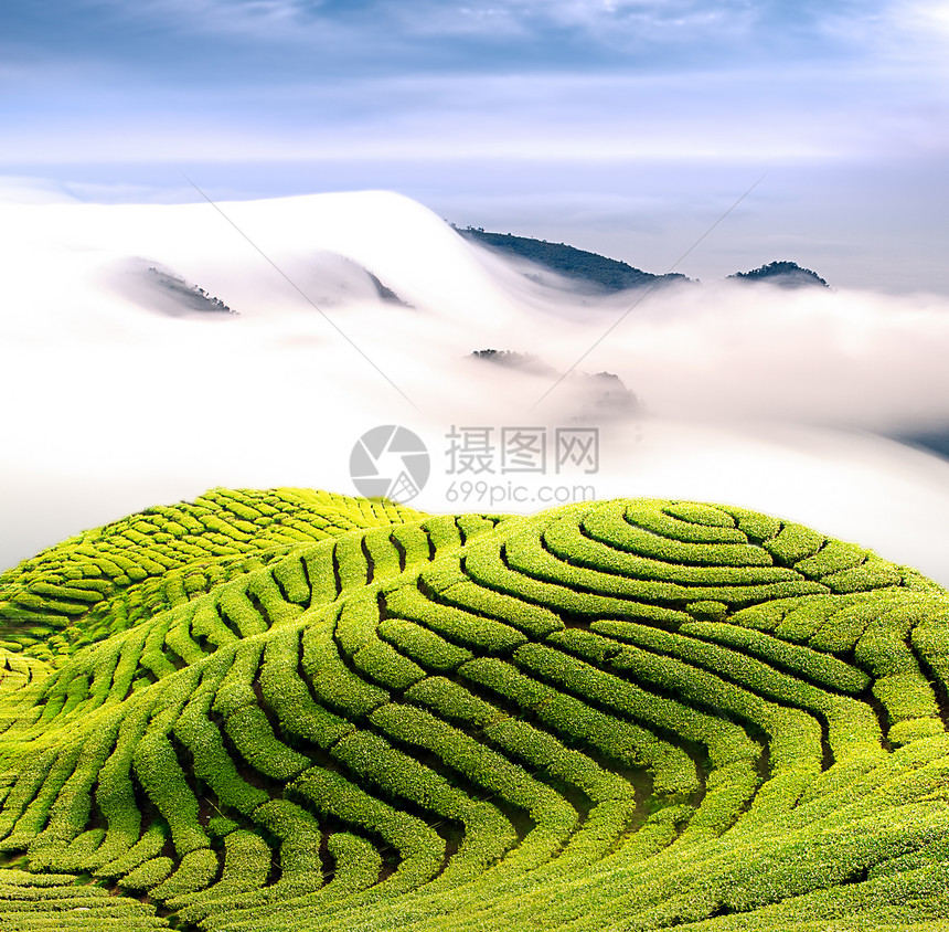 用于背景或纹理用途的图片