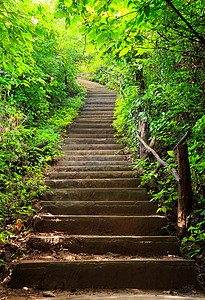 通往森林的阶梯背景图片