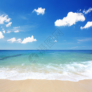 海滩和热带海洋图片