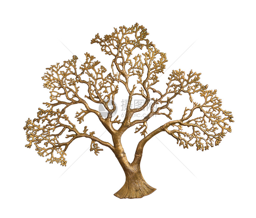 孤立的金树图片