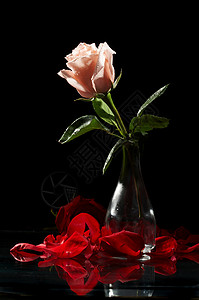 花瓶里的玫瑰图片