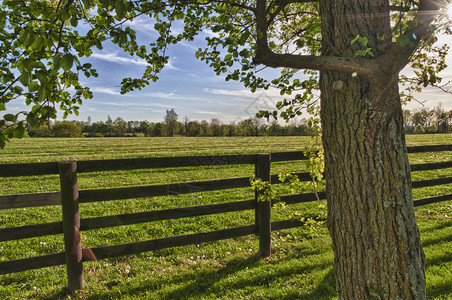 马场的绿色牧场HDR图像图片