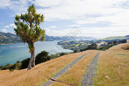 Otago半岛海岸景观图片