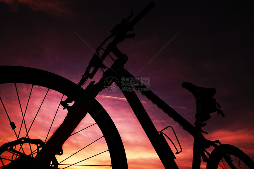骑自行车的图片