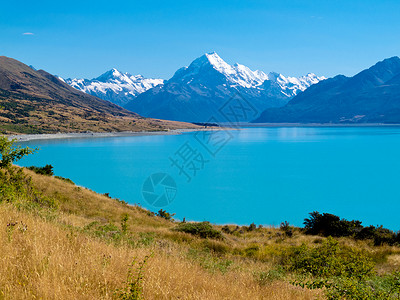新西兰南岛坎特伯雷奥拉基库克山公园图片