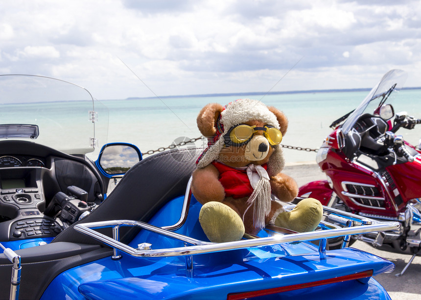 泰迪熊玩具在海上的图片