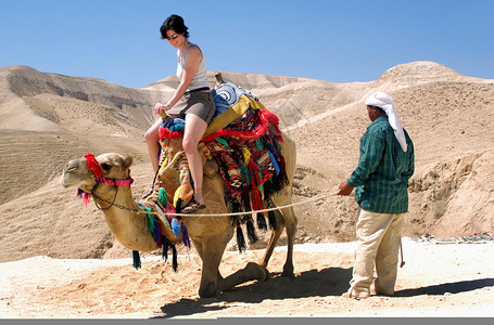 旅游者骑着一位贝都因人的骆驼在以图片