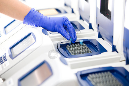 具有DNA复制的科学家实时PCR高清图片