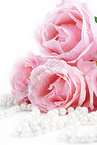 美丽的粉红玫瑰和白珍珠图片