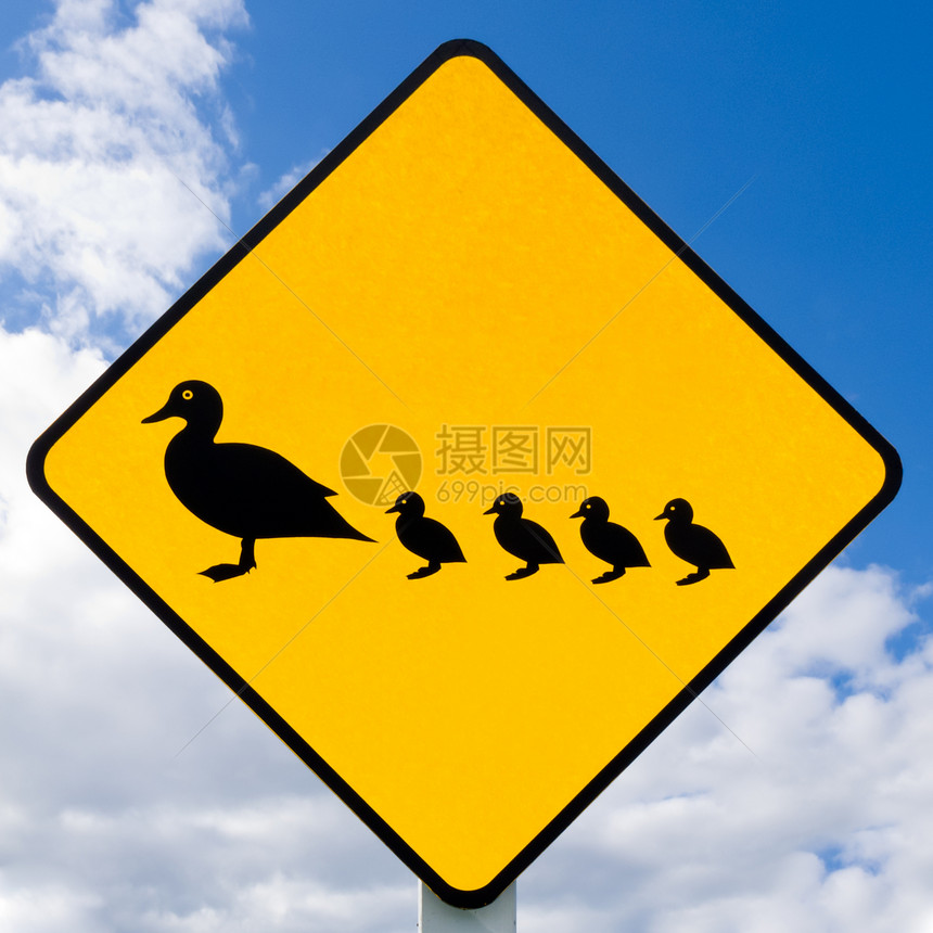 路牌警告要小心鸭子和鸭子在云蓝天空背景下穿越公路info图片