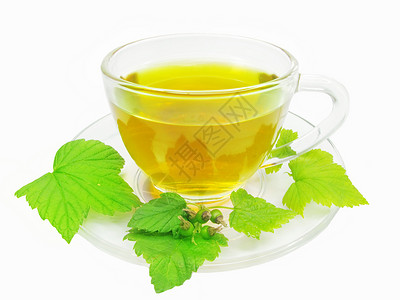 绿色草药茶配有凉图片