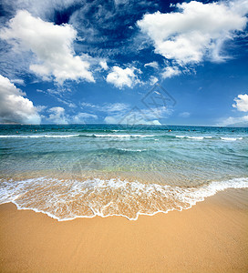 夏季海滩和热带海的图片