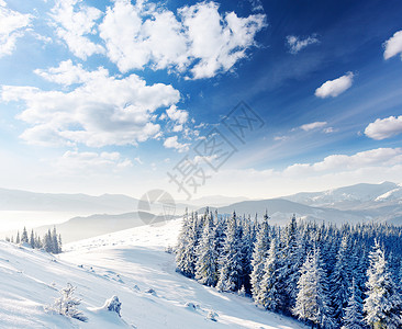 美丽的冬季风景有图片