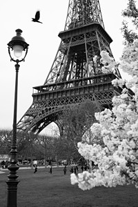 Eiffel铁塔在春天的春图片