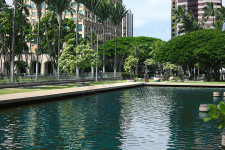 夏威夷火奴鲁州府大楼外的游泳池图片