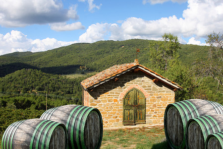 意大利托斯卡纳州奇安提的葡萄园高清图片