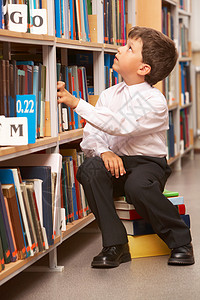 辛勤读书的男生在图书馆图片