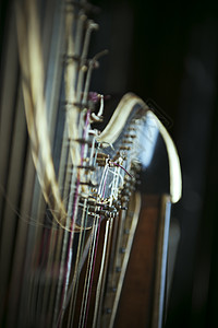 上世纪古竖琴的细节口音在调音栓上倾斜移位镜头用于突出琴弦图片