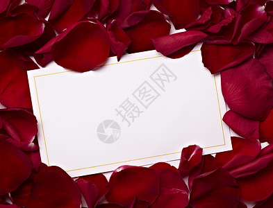 贺卡dwith玫瑰花瓣装饰的特写图片