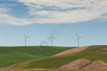 大风车坐在滚动的绿色山丘上在东华盛顿农图片
