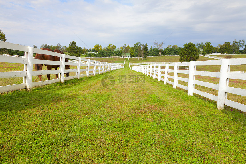 有白色木栅栏的马场的风景图像图片