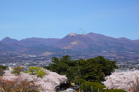日本群马县的赤城山和樱花高清图片