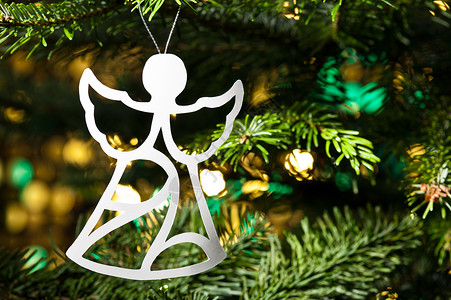 天使在新鲜绿色圣诞树上塑背景图片