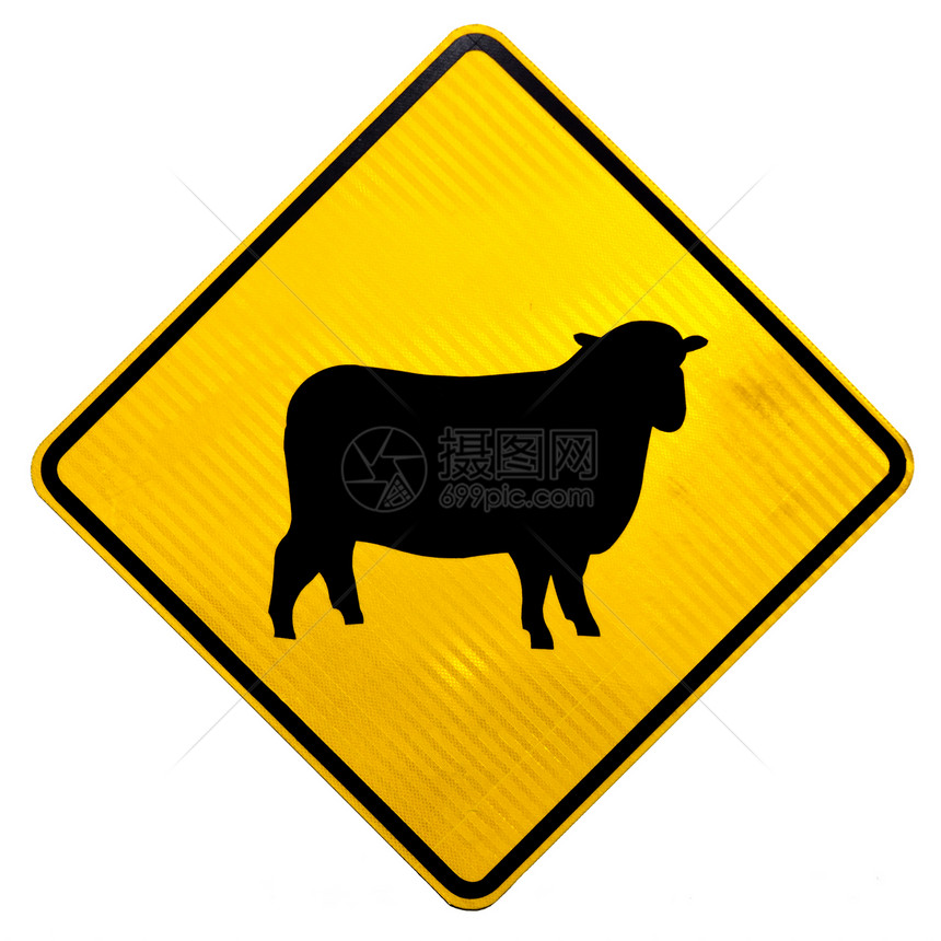 新西兰路标关注羊过路图片