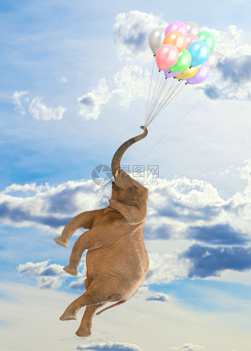 大象与气球一图片