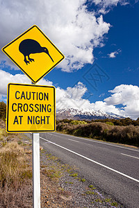 鲁阿佩胡在汤加里罗公园Ruapehu山活火山附近公路上穿越新西兰路标志背景