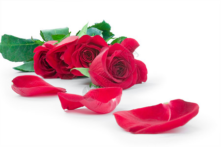 红玫瑰在花束中花朵分散图片