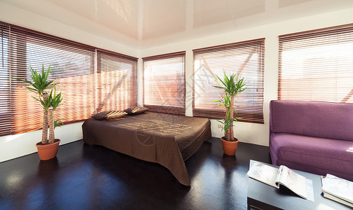 具有丰富自然光的现代阁楼卧室背景图片