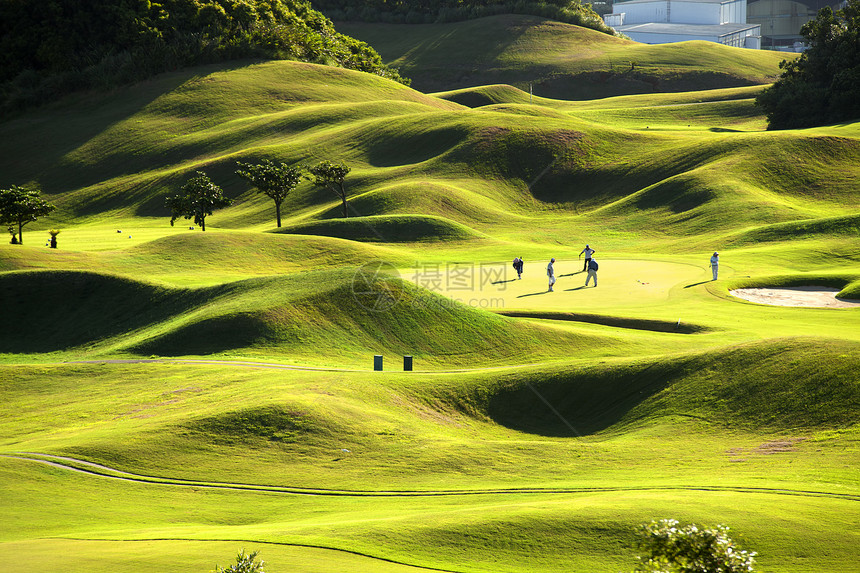 高尔夫球场绿色优美供广告或图片