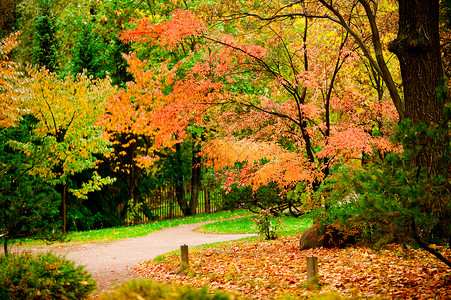 公园里的秋天素描图片