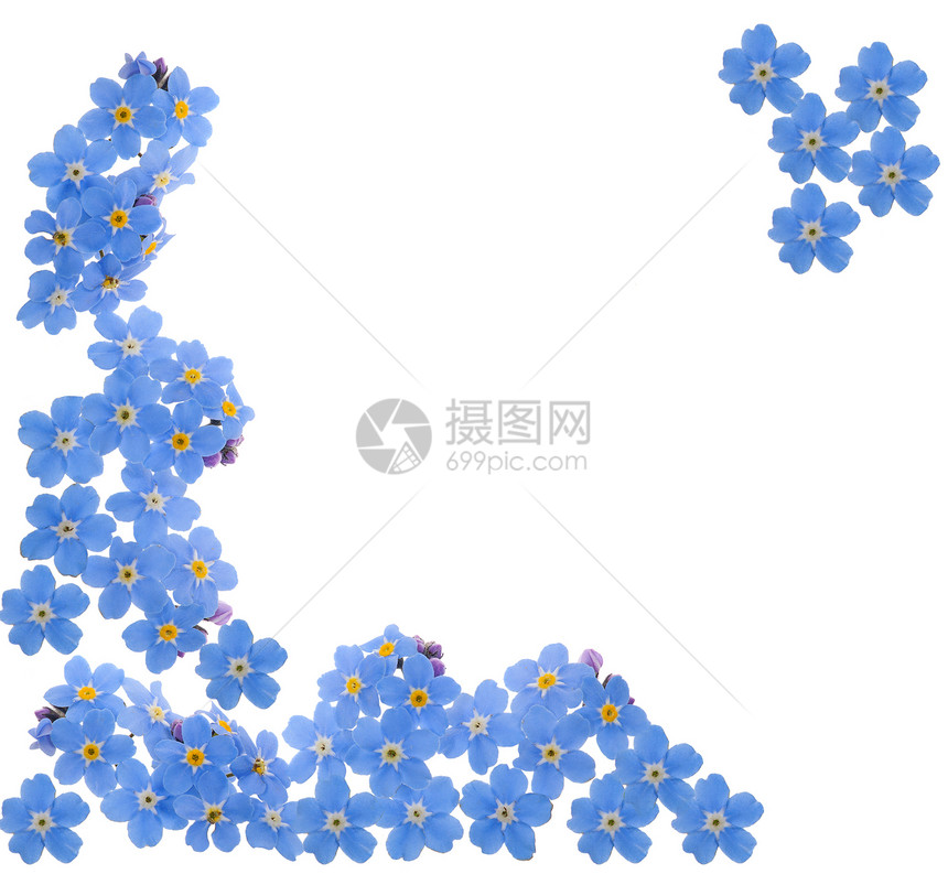 白背景上孤立的忘记图片