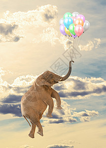 大象与天空中的气球飞行图片