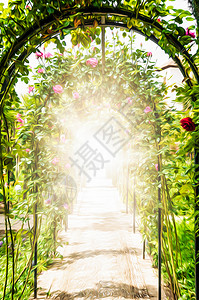 穿过美丽的花园多个拱门和墙壁装饰着鲜花粉红色和红色的玫瑰图片