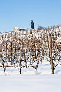 冬季意大利托斯卡尼酒厂图片