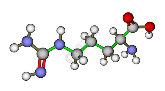 氨基酸精氨酸分子结构高清图片