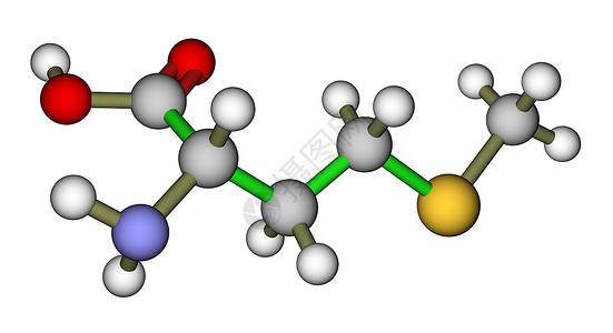 基质氨基酸甲基硫磷i图片