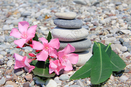在海滩的禅宗石头图片