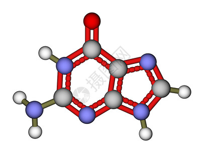 核碱基鸟嘌呤分子结构背景