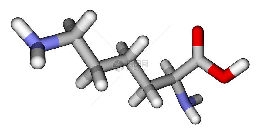 氨酸赖氨酸图片