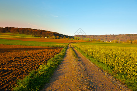 瑞士农场环绕着森林和犁图片