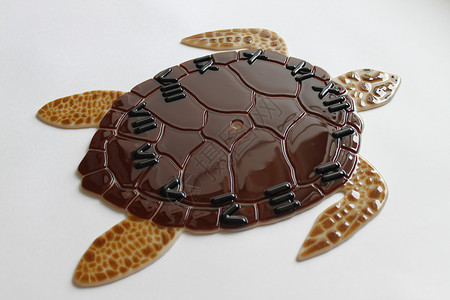 海龟玻璃图片