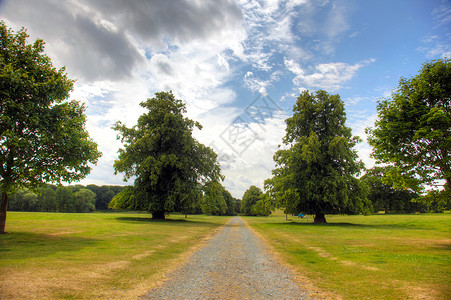 英国乡村庄园的风景与高大的树木图片