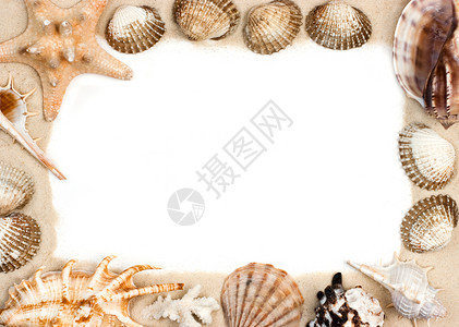 沙子画框上的贝壳和海星图片