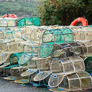 堆放在码头上的螃蟹和龙虾锅图片