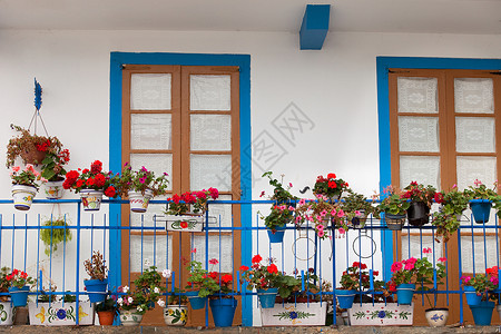 漂亮的阳台有蓝色的门和许多盆栽天竺葵图片