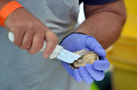 厨师的手打开了新鲜的牡蛎在海鲜餐厅厨图片
